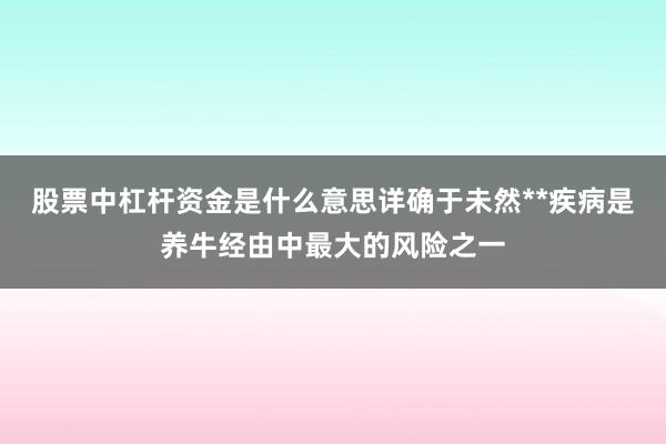 股票中杠杆资金是什么意思详确于未然**疾病是养牛经由中最大的风险之一