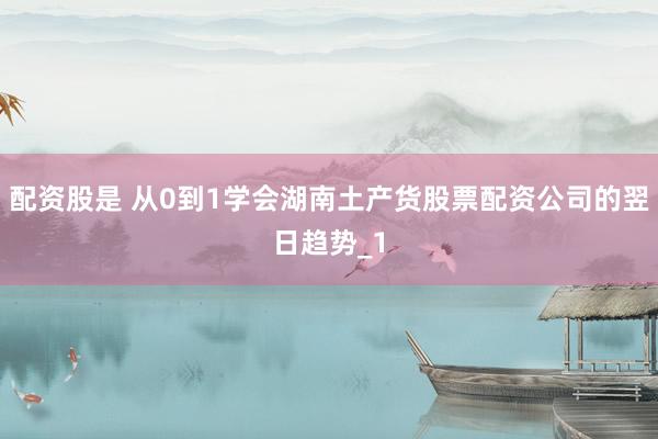 配资股是 从0到1学会湖南土产货股票配资公司的翌日趋势_1